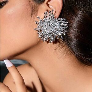 Elegant Silver Statement Earrings